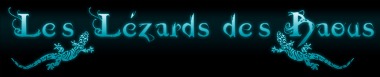 logo lezardsdesbaous - gites des baous de saint jeannet